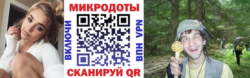 Псилоцибиновые грибы Cubensis  Купить  Соль-Илецк 